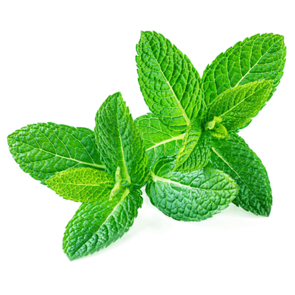 natural ingredients peppermint